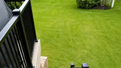 Deck Stairs Photo